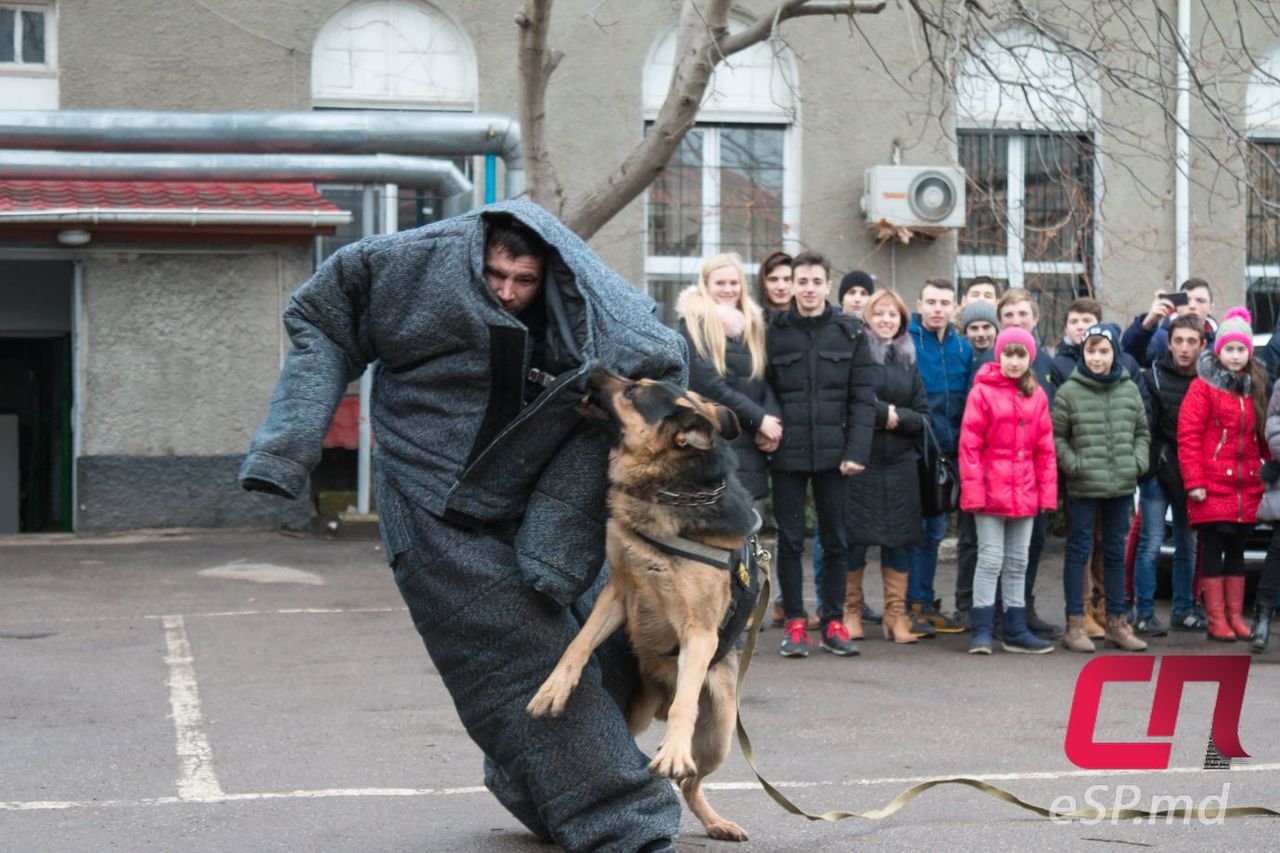 В Бельцком инспекторате полиции провели День открытых дверей