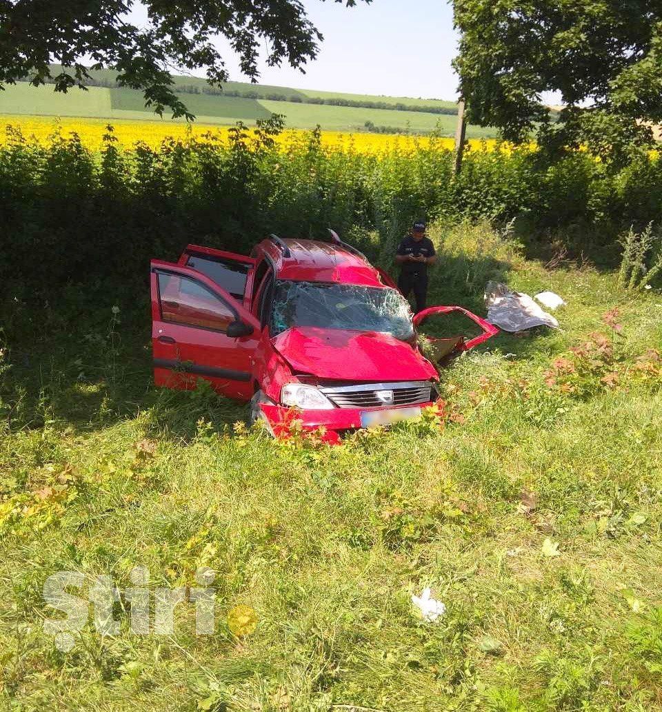 В ДТП в Сынжерей погибли 2 человека и пострадал ребенок