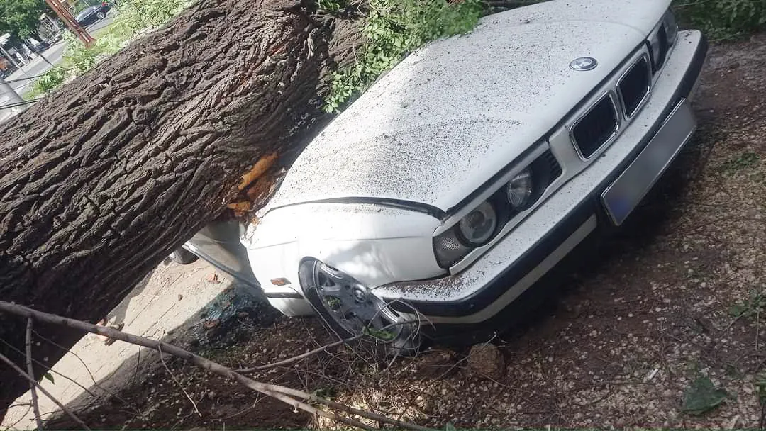 В Кишиневе упавшее дерево повредило автомобиль и опоры ЛЭП