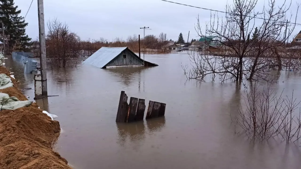 Наводнения в России: в Курганской области ожидают пик половодья