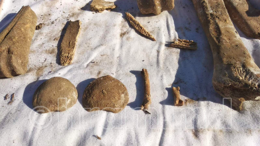 В Чишмикиой на территории храма найдены останки, предположительно человеческие