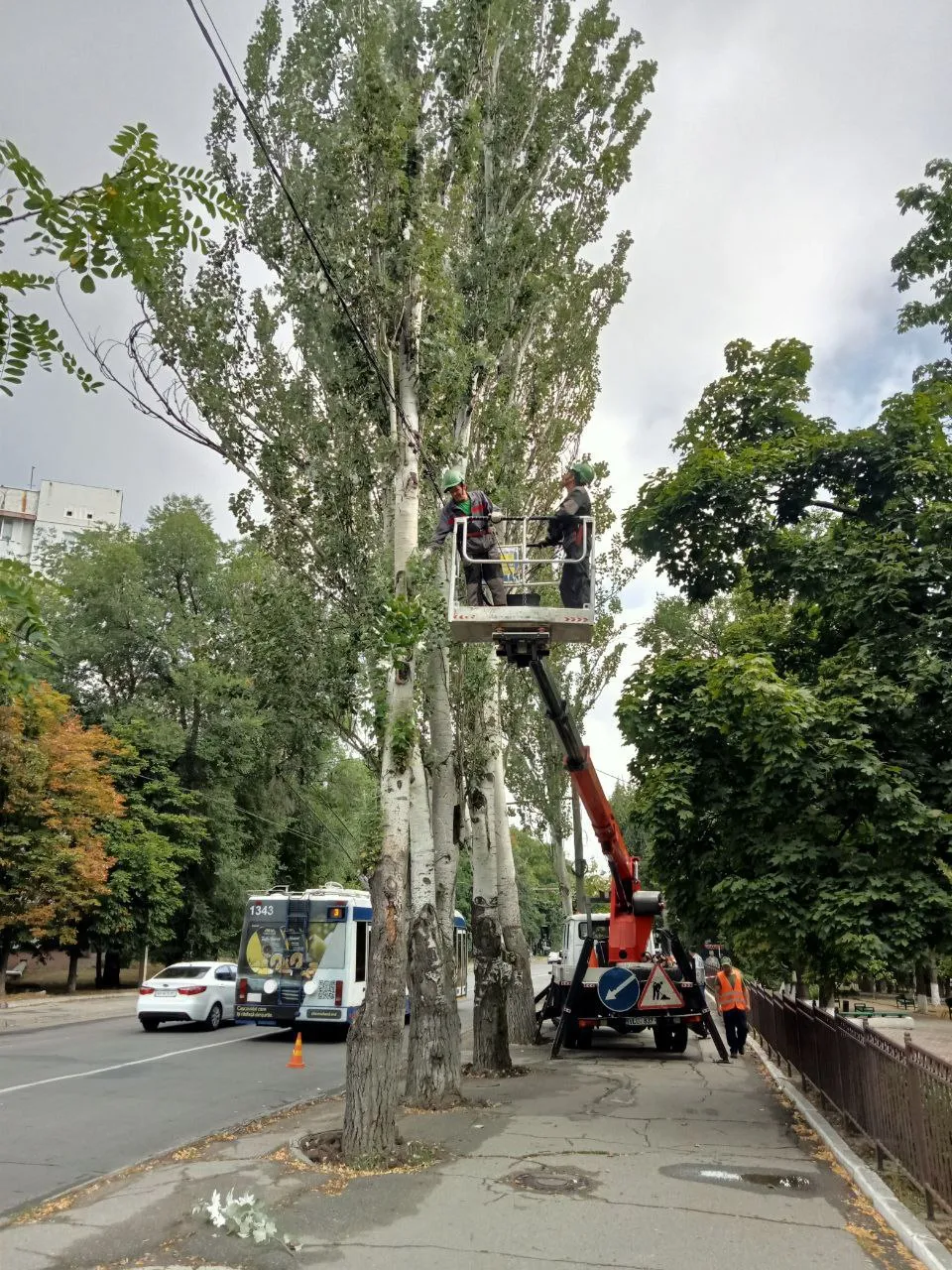 Consecințele furtunii în Capitală: Crengi rupte și copaci doborâți