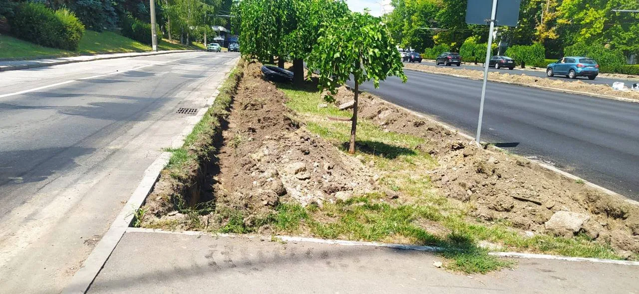 На Ботанике начался монтаж автоматизированной системы полива