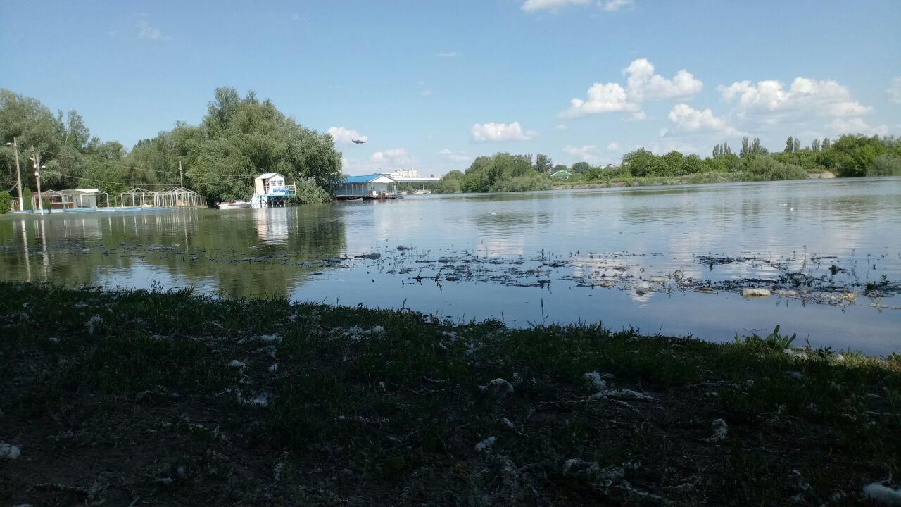 Высокий уровень воды в Днестре сохранится в течение недели