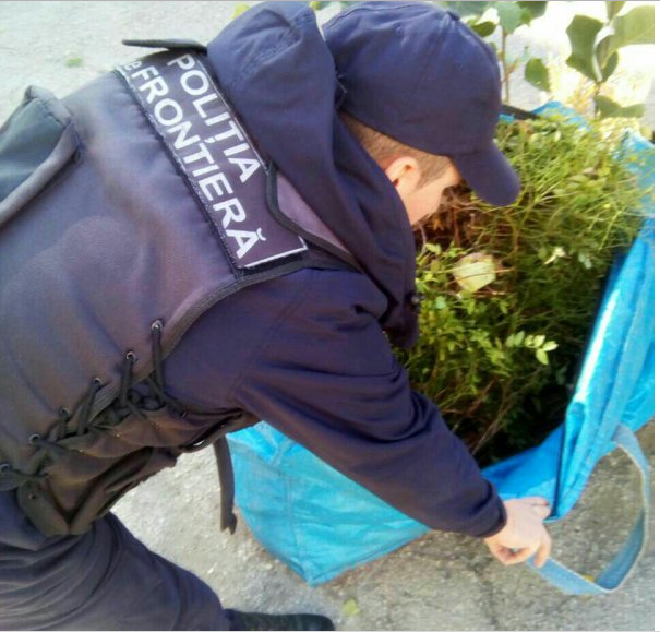 Крупную партию сельхозкультур изъяли у жителя Бричанского района
