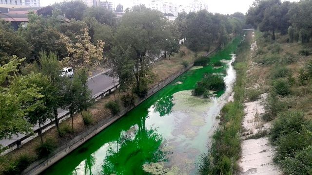 Названа причина окрашивания реки Бык в зеленый цвет