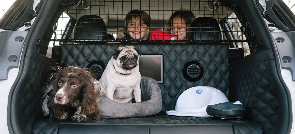 Nissan создал концепт-кар для собак X-Trail 4Dogs