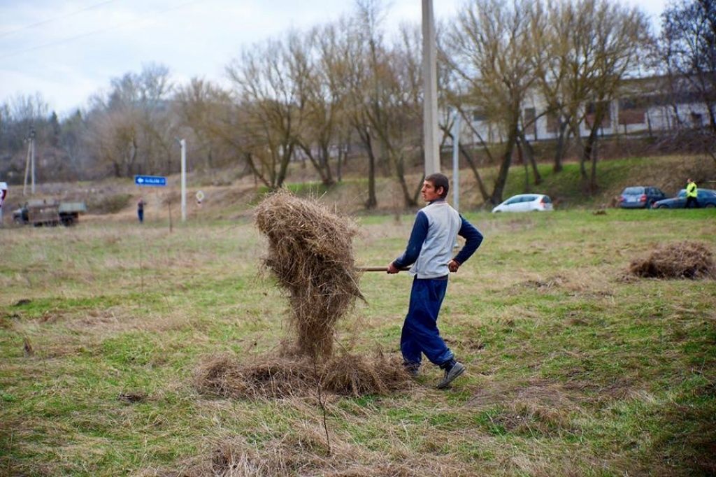 В Оргееве были проведены работы по уборке и озеленению города