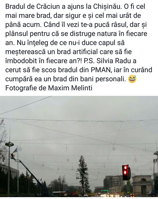 Bradul din PMAN, generator de glume copioase pe Facebook. Cele mai inspirate comentarii