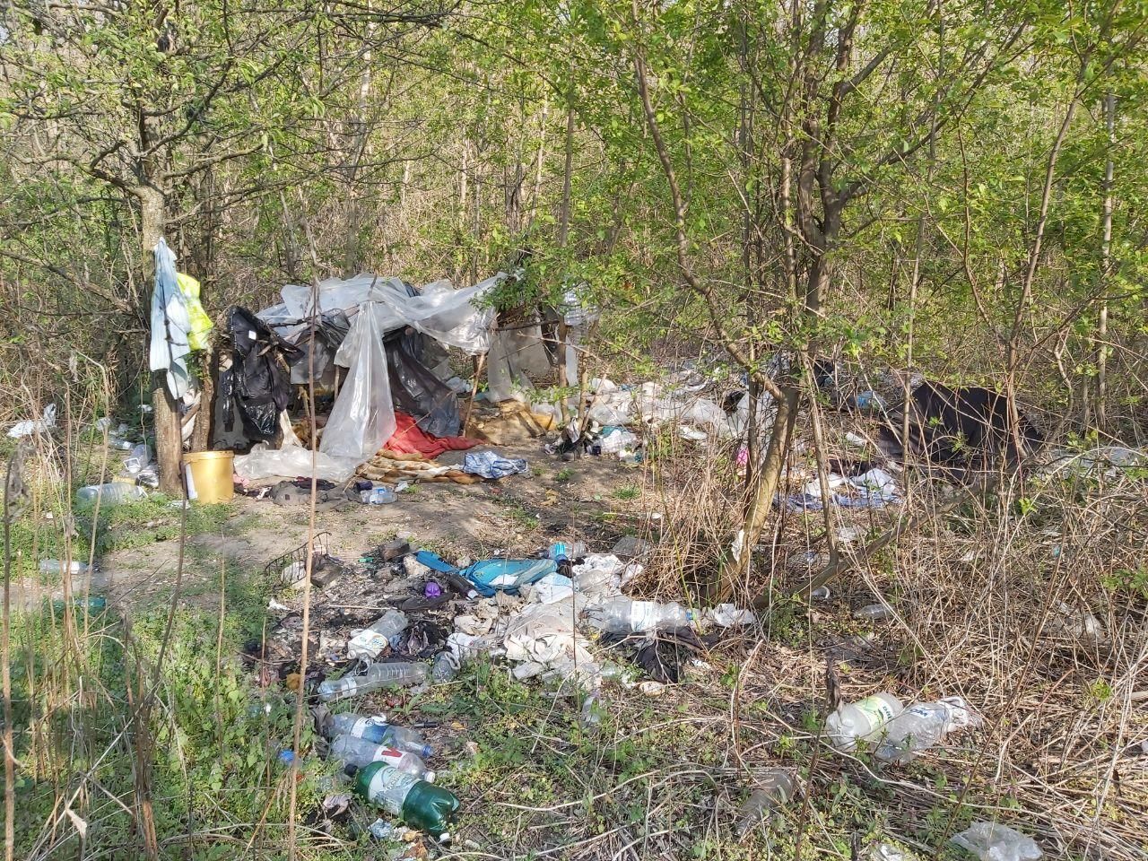 Некоторые жители столицы превращают парки в мусорные свалки