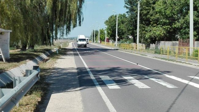 Мать и 7-летний ребенок погибли под колесами автомобиля на пешеходном переходе