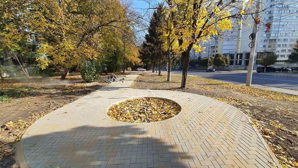 Чебан: Полным ходом идут восстановительные работы на Ботанике