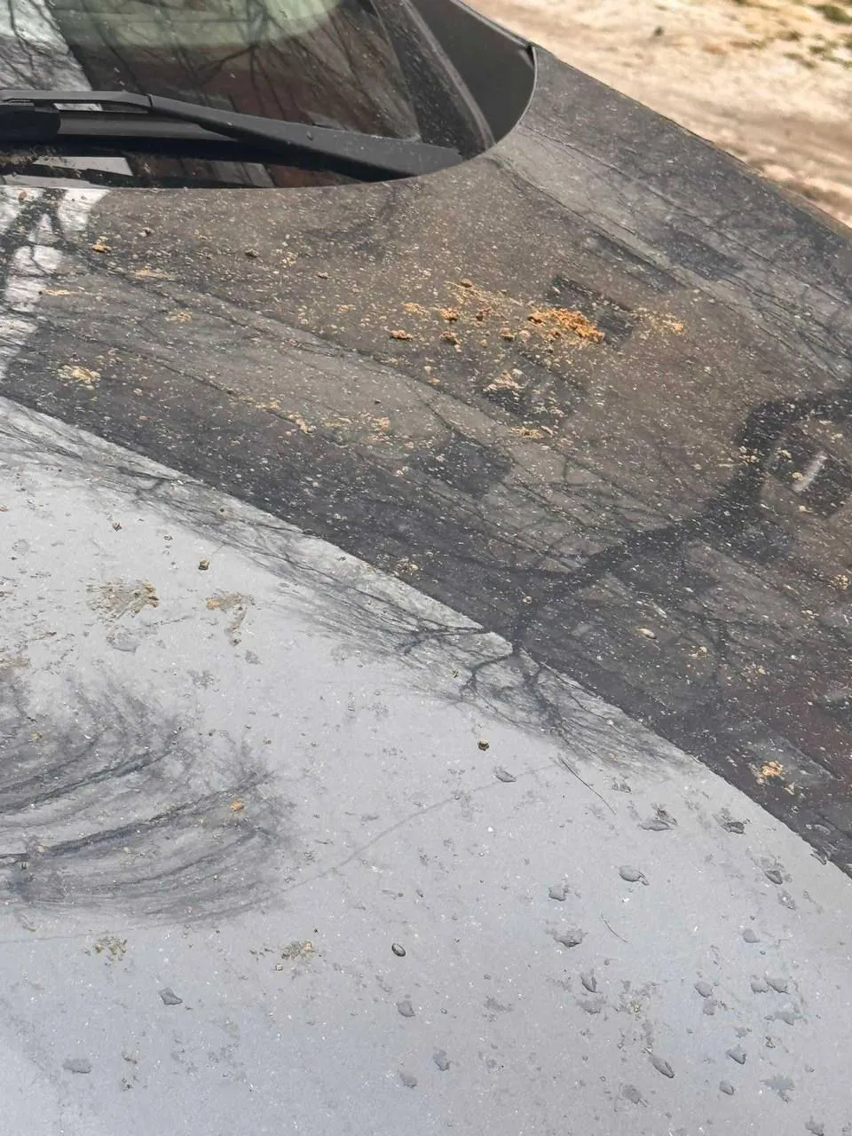 В Бельцах реагентом посыпали не только тротуары и дорогу, но и машины