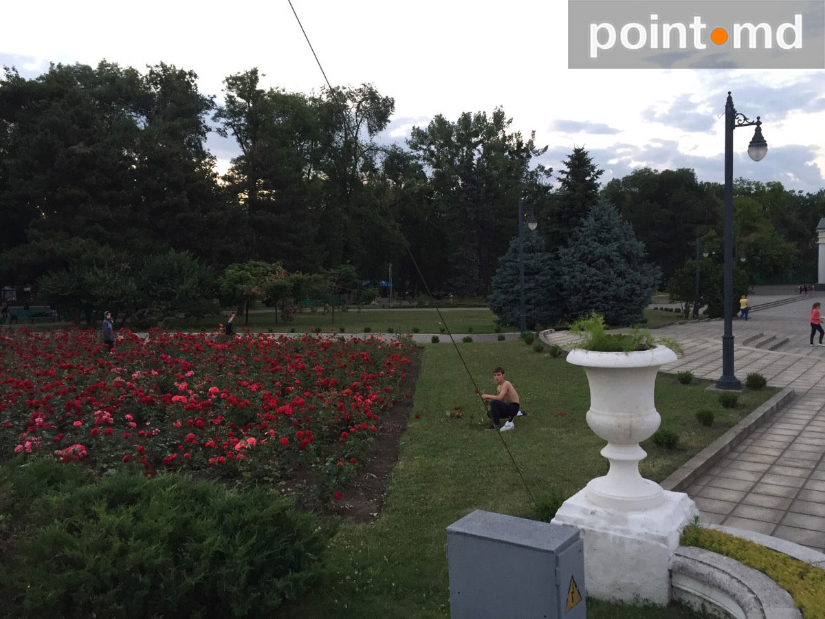 В центральном парке Кишинева дети срывают розы с клумб и затем их продают