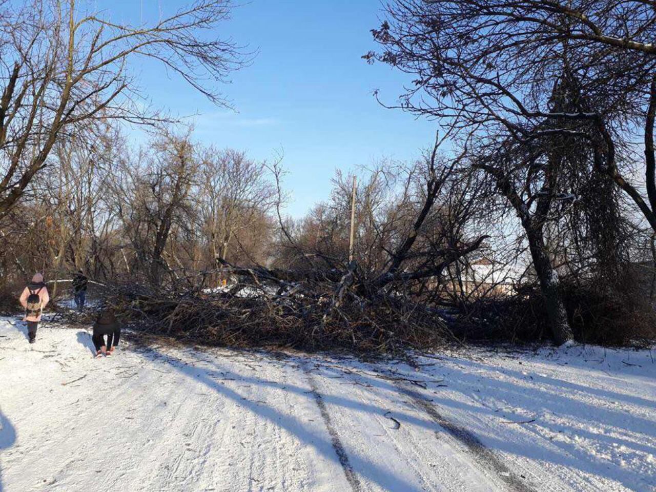Дорожное движение на Мунчештском шоссе заблокировало упавшее дерево