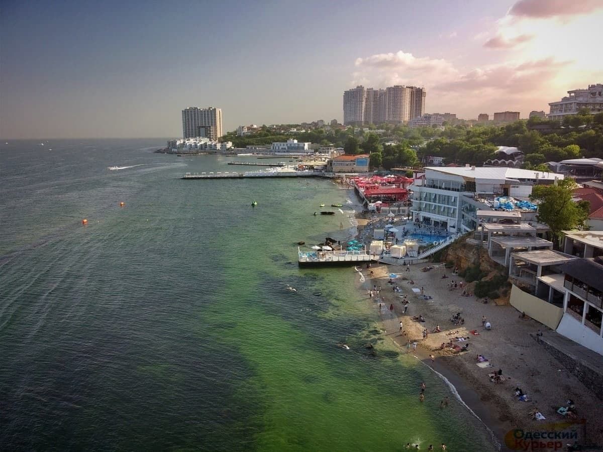 В Одессе "зацвело" море из-за мусора