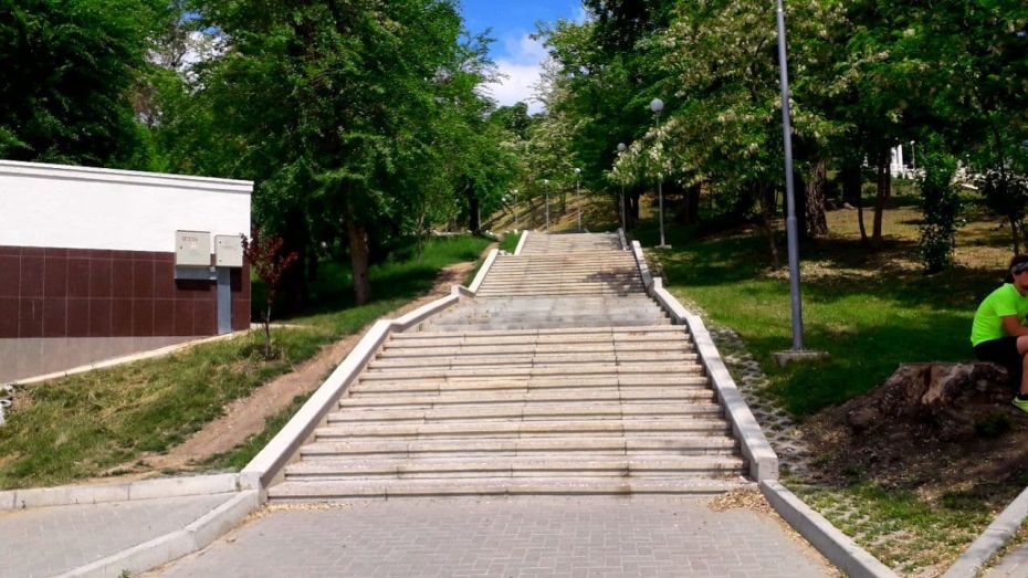 Многие парки в столице не оснащены пандусами