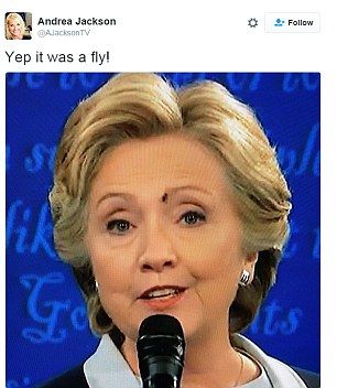 Musca ce s-a așezat pe Clinton în timpul dezbaterilor a ajuns vedetă pe Twitter