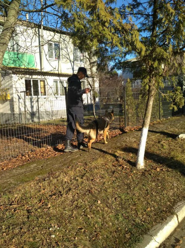 Четвероногий пограничник помог полиции Рышкан найти вора