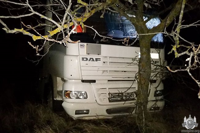 В Слободзейском районе фура врезалась в дерево
