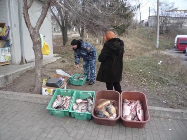 Нелегальная торговля живой рыбой в Молдове набирает обороты