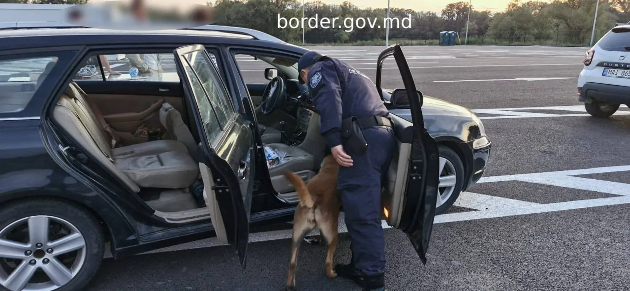 Служебная собака обнаружила на границе сумку с подозрительными веществами
