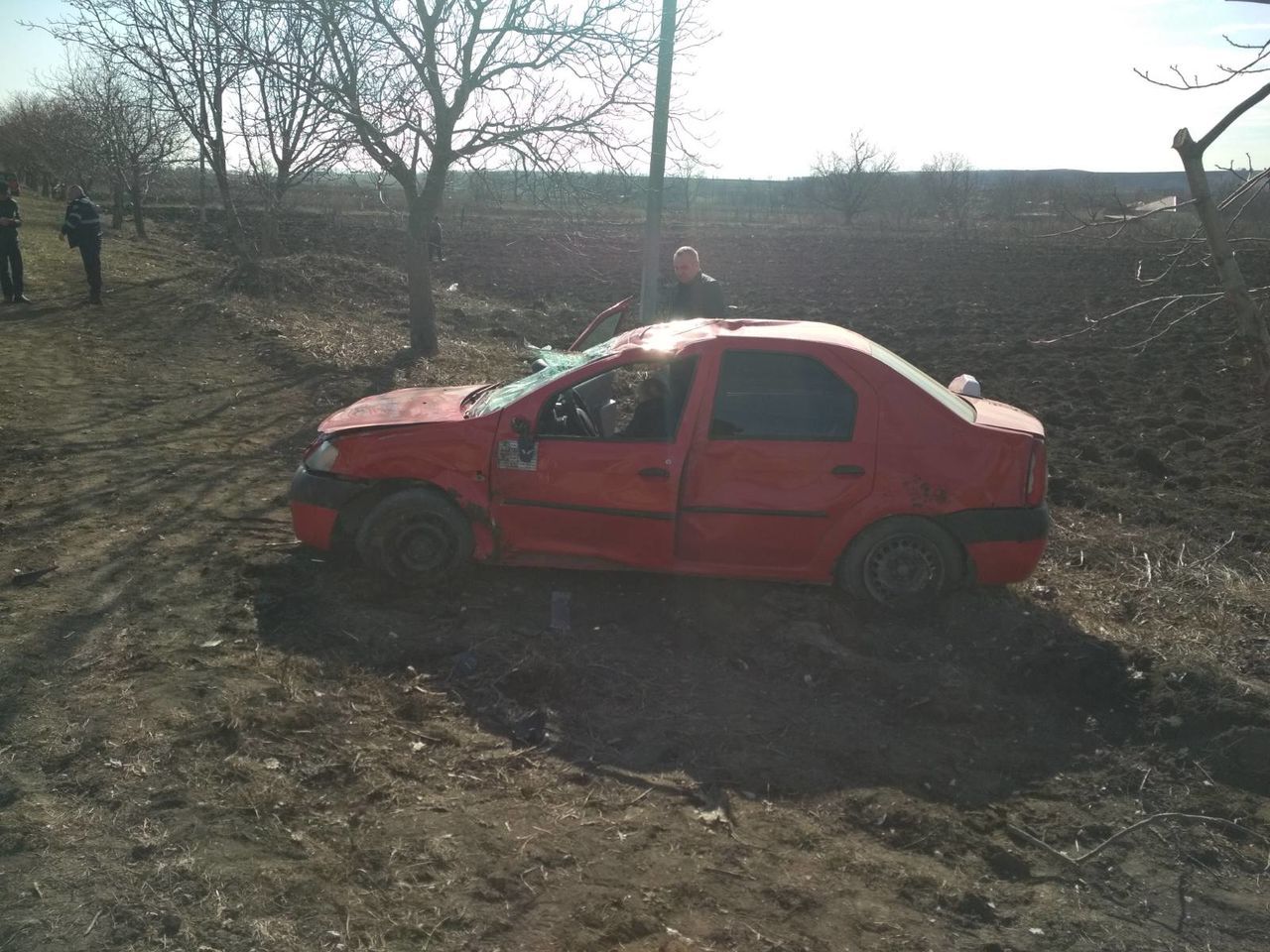В Фалештах такси врезалось в дерево, водитель погиб