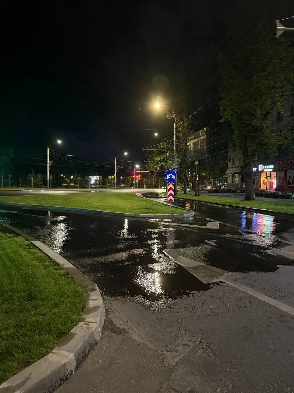 Полив декоративных растений в столице: частота работ удвоена