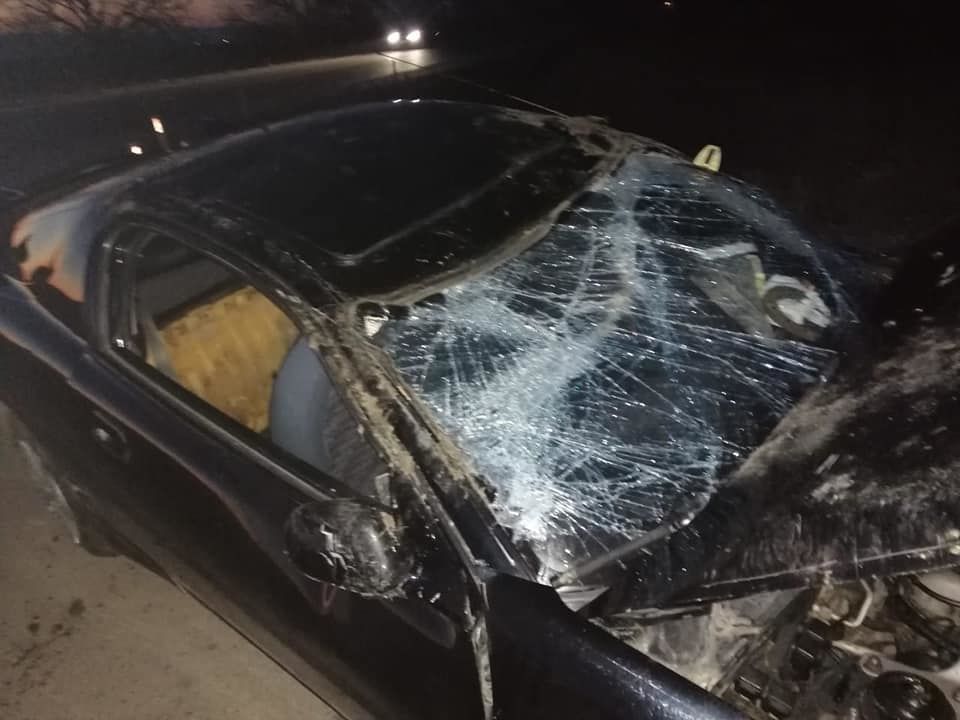 Во Флорештском районе произошло ДТП: водитель скрылся с места аварии