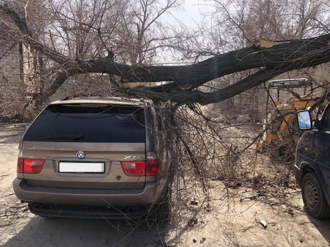 Из-за непогоды в стране пострадало большое количество автомобилей