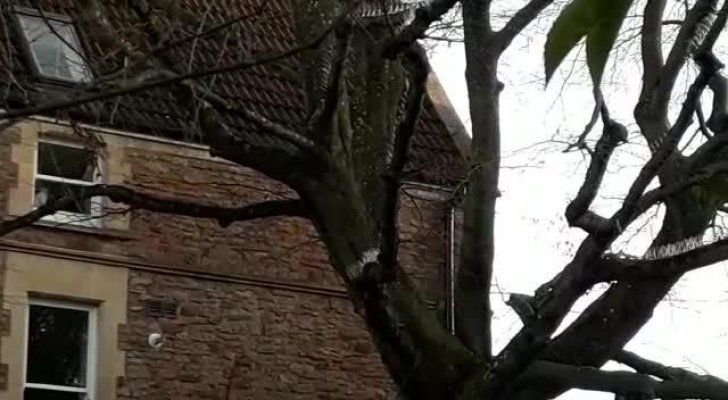 Gestul scandalos al locatarilor unui cartier exclusivist. Totul, ca să nu îşi murdărească maşinile