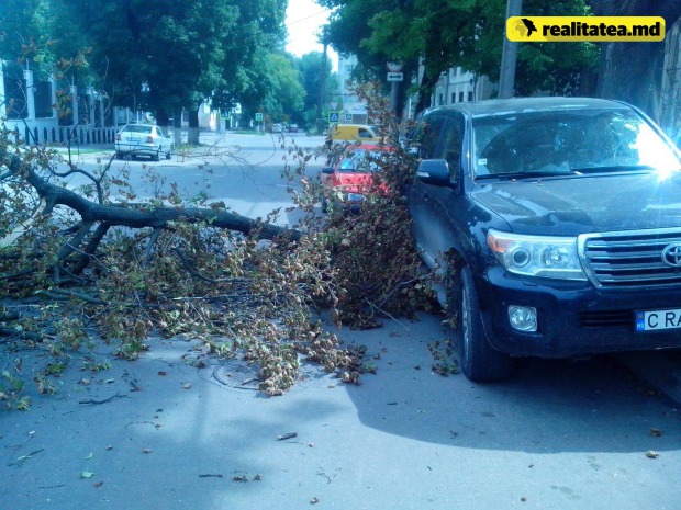 O creangă a căzut peste mașina șefului CFM, Iurie Topală