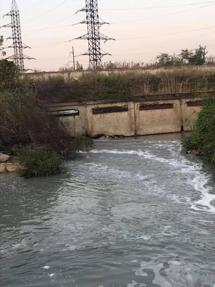 Бывшая глава Apă-Canal назвала возможную причину сильной вони в Кишиневе