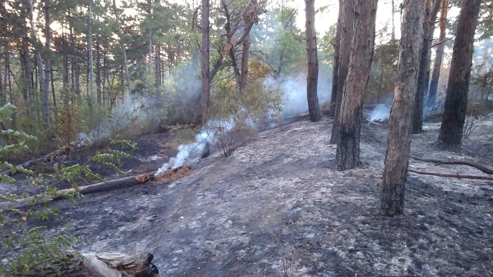 Incendiu în pădurea care desparte sectoarele Râșcani și Ciocana