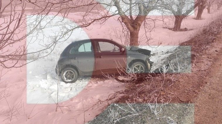В Фалештах автомобиль врезался в дерево