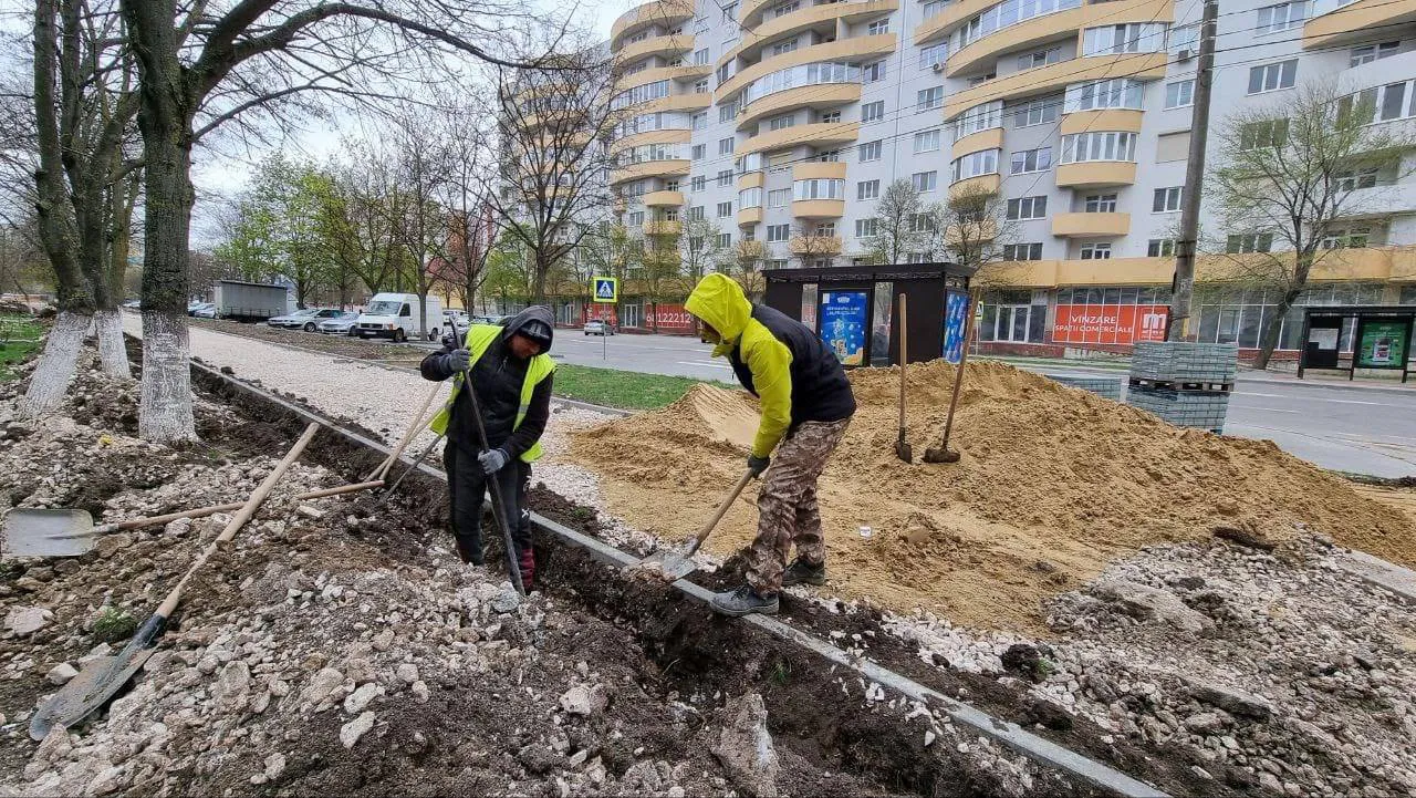 На аллее на ул. М. Садовяну укладывается плитка