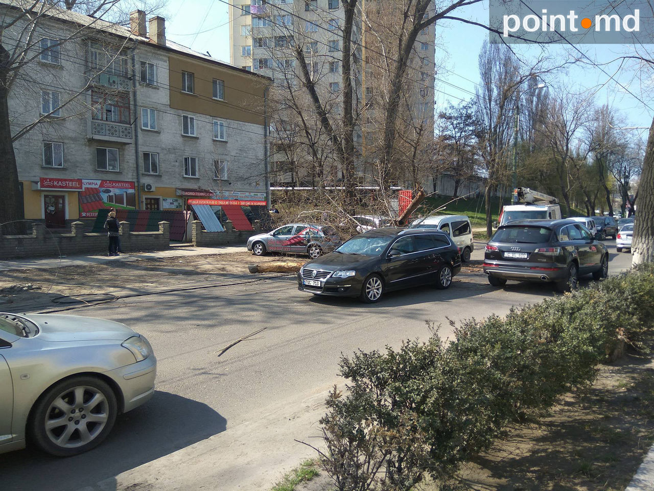 На Мунчештском шоссе рухнуло дерево на проезжую часть