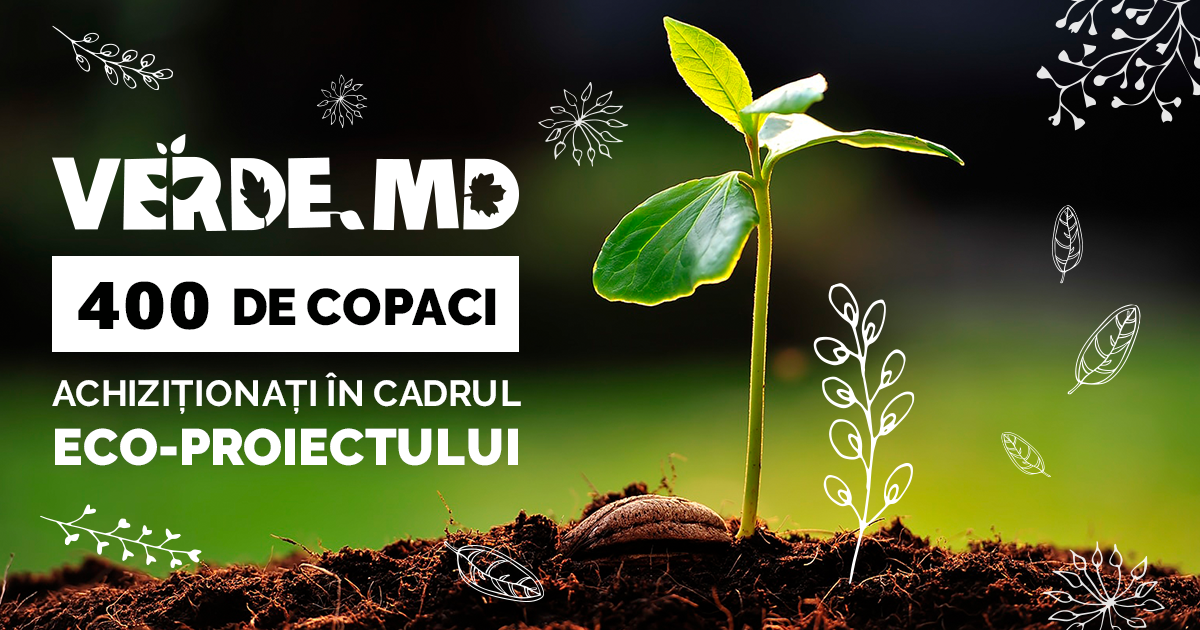 Verde.md: 400 de copaci cumpărați. Arbore sădit în memoria solistului Linkin Park