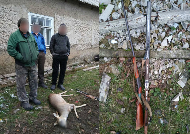 В Чимишлийском районе браконьеры застрелили косулю из незаконно хранящего оружия