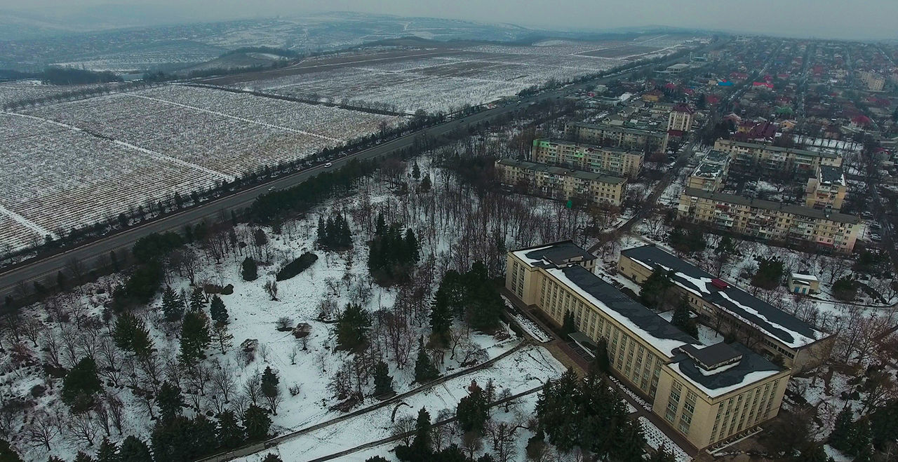 RISE рассказал, как Минсельхоз распродаёт госимущество и должности