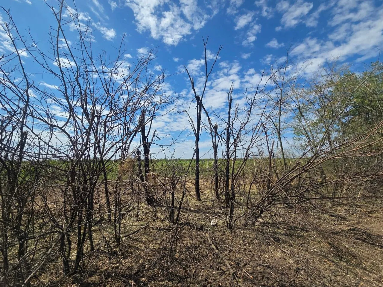 Появились фото с места взрыва дрона под Крокмазом