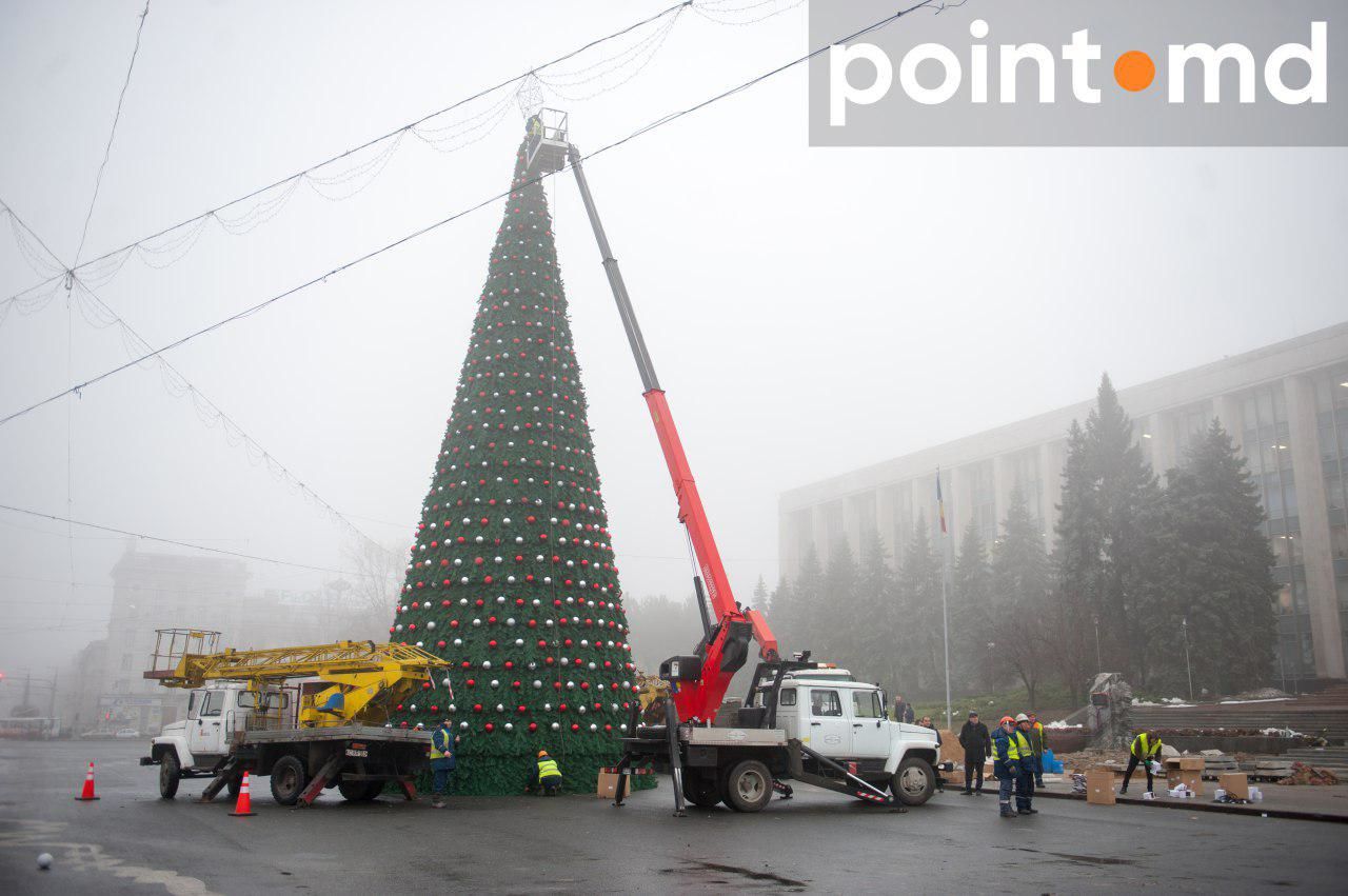 Главную елку страны уже нарядили