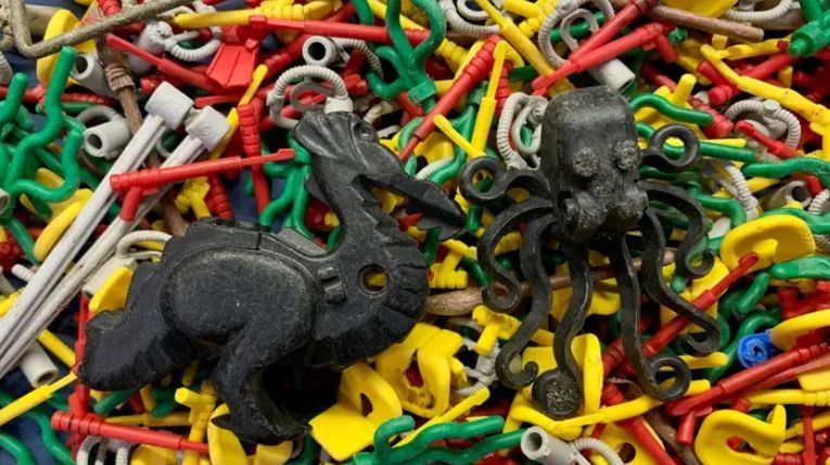 Британка провела 25 лет в поисках 5 млн деталей Lego, затонувших в море