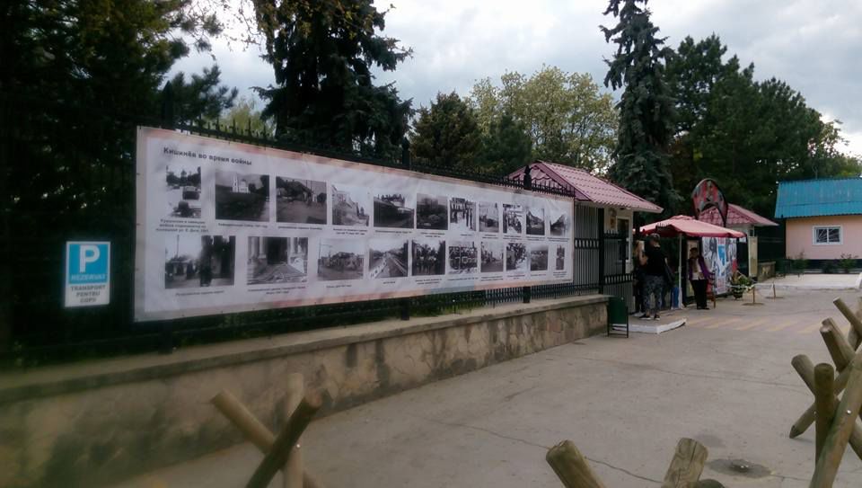 Кишиневский зоопарк трогательно поздравил с Днем Победы