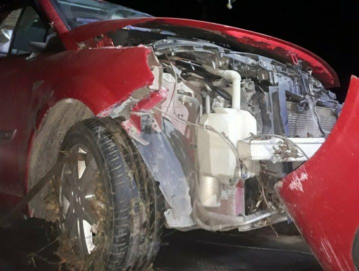 В Криулянском и Яловенском районах произошло 2 ДТП со смертельным исходом