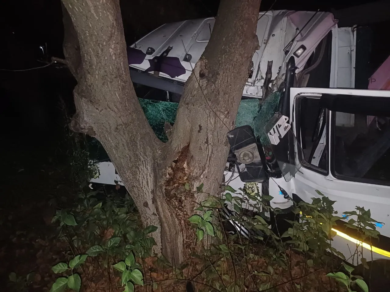 Un camion s-a izbit de un copac în raionul Briceni: Șoferul a murit pe loc