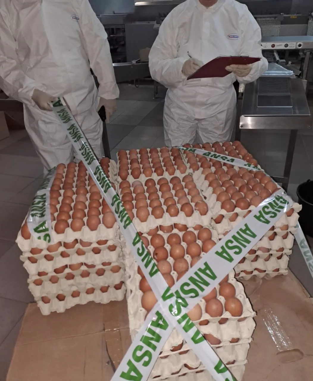 Инспекторы ANSA изъяли из магазинов опасную партию куриных яиц