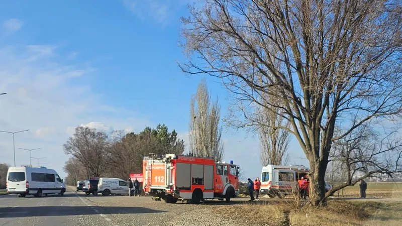 В Кишиневе автомобиль врезался в дерево и перевернулся на крышу