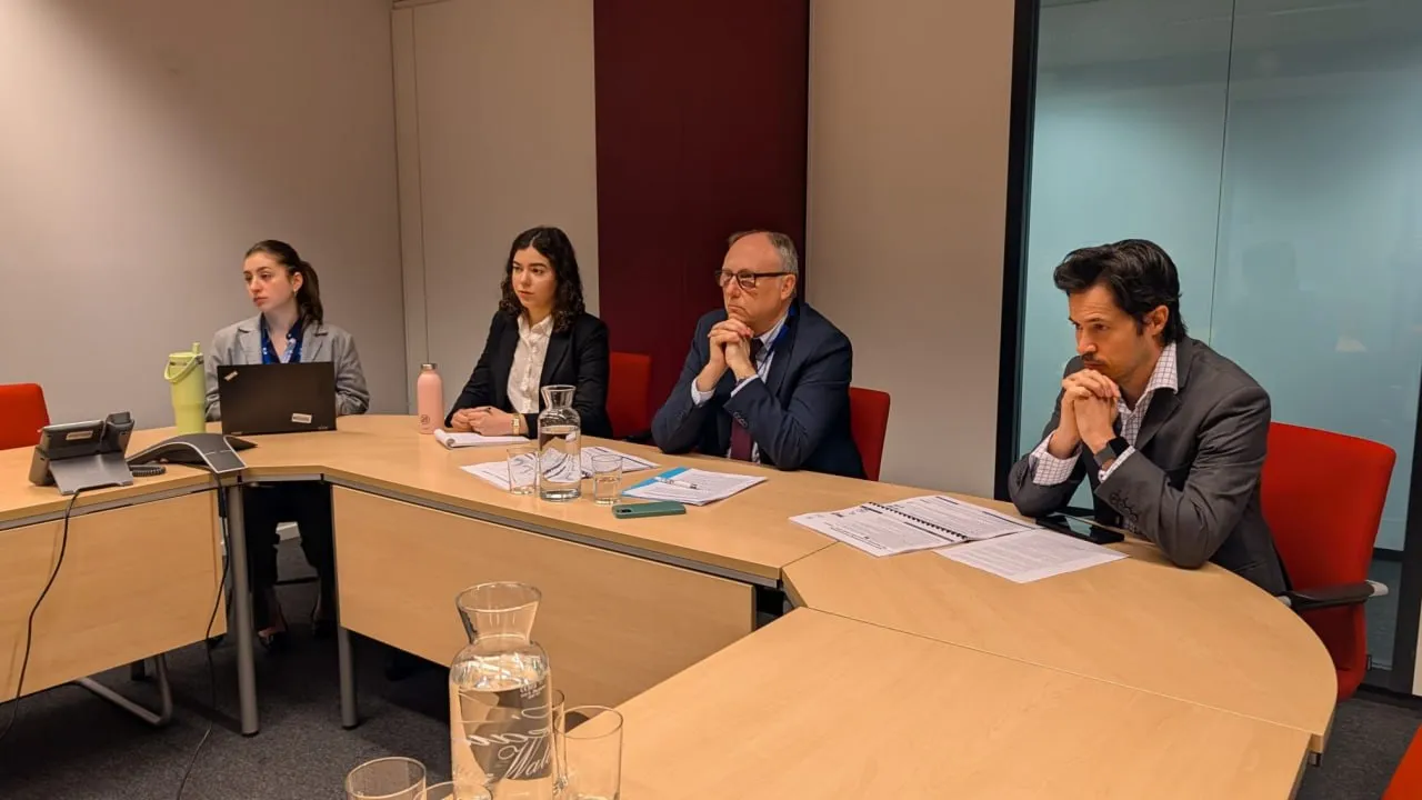 Анка Драгу: Монетарная политика остаётся нацеленной на ценовую стабильность