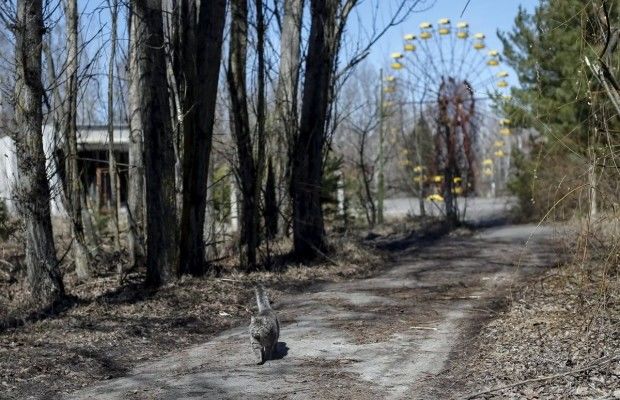 Как выглядит Чернобыль 30 лет спустя